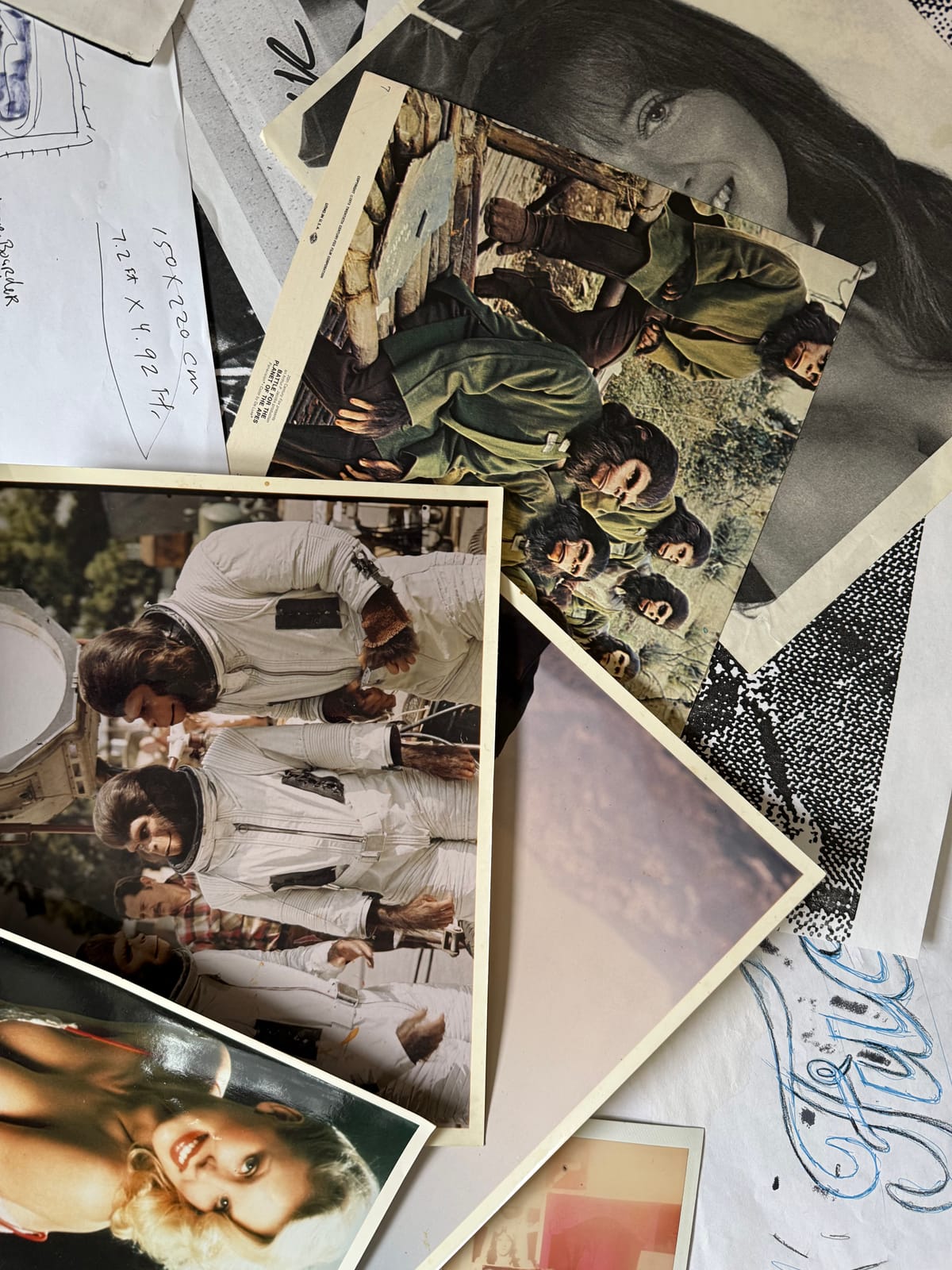 Introducing Primary Process Materials Into the Public Record